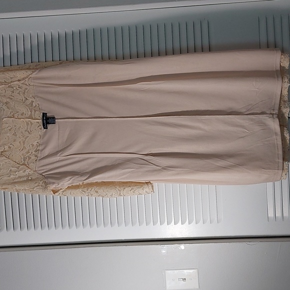 Size 1X Champagne Color Ladies Dress - Picture 6 of 8
